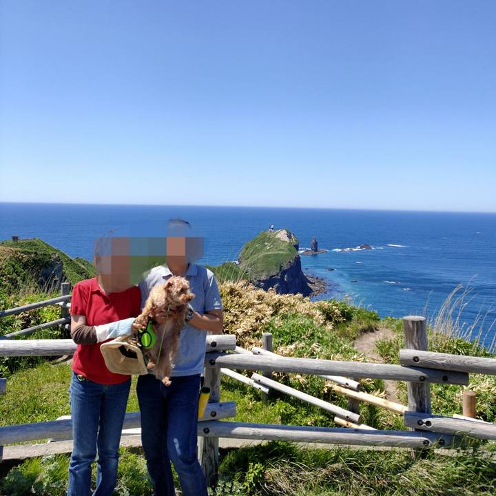 6878c4cc 9fd0 4731 aceb f6e5d33ebabe 1590917253949