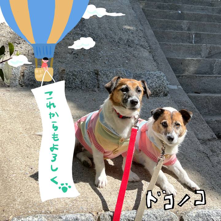 6878dc1e 9ccd 4680 842d c5e50577f7db 1685971710446