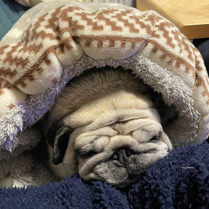 687911fe 90cf 45ee 86c5 ed461393e61e 1770367811462