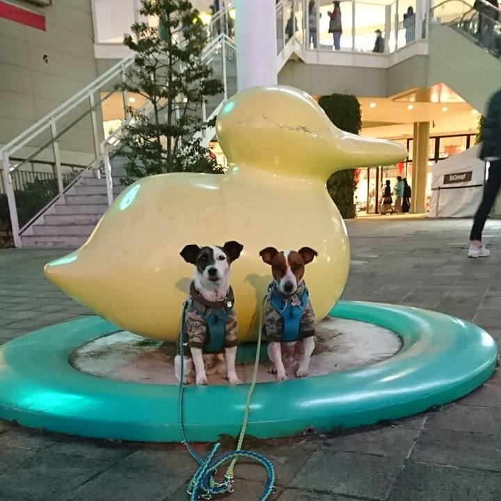 68792d6b 9d7c 4e78 83cb 4f05b29c5d5f 1609575833761