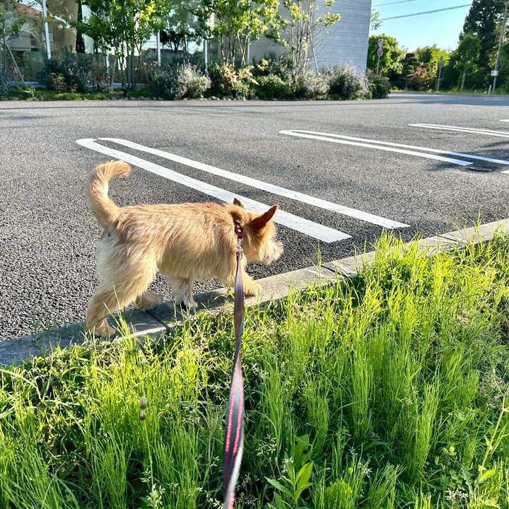 6879430a 8d17 4a5e ac9f 565d58e8aeb0 1715851640924