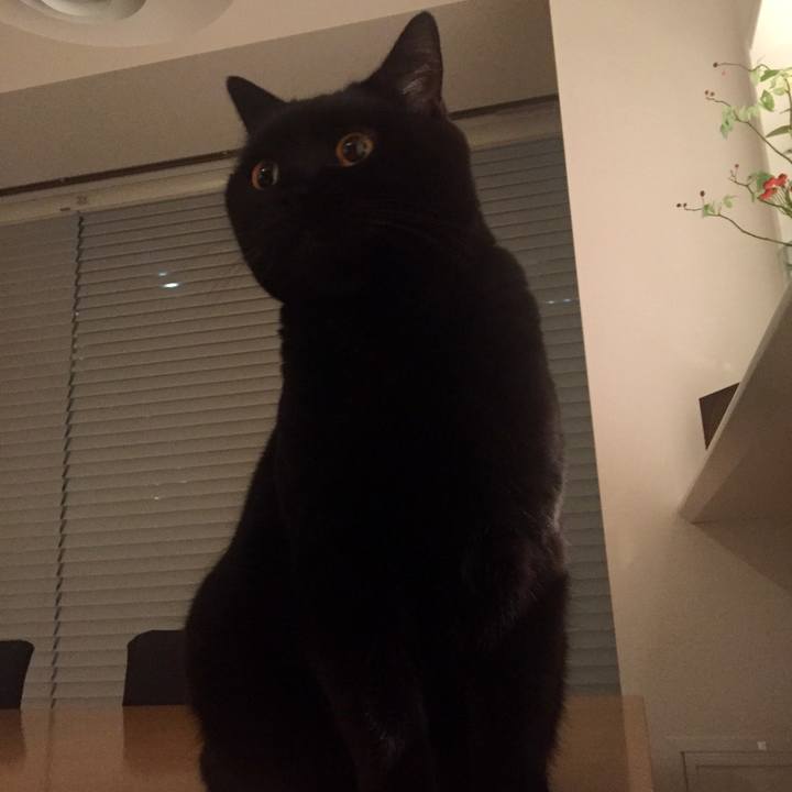 68796796 0638 4f51 9213 eb7f58c260d4 1575382347971