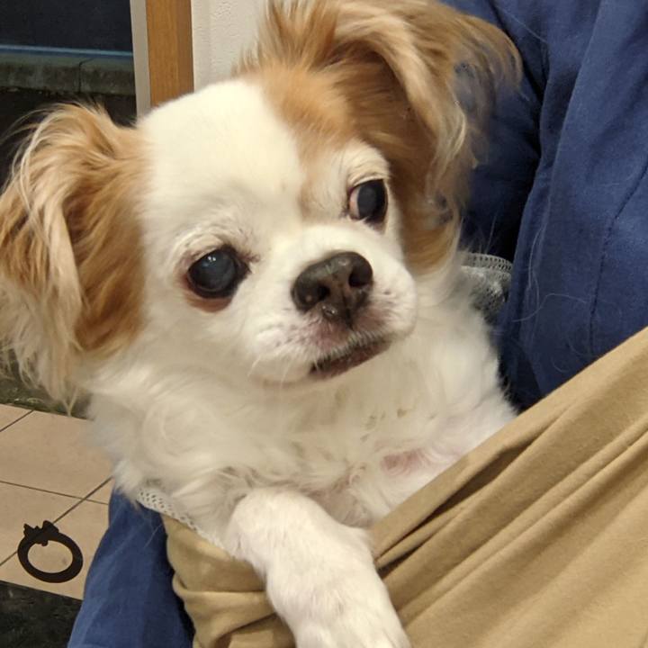 68798ac7 d52c 4670 bdea 1efd2628a69c 1636538015139