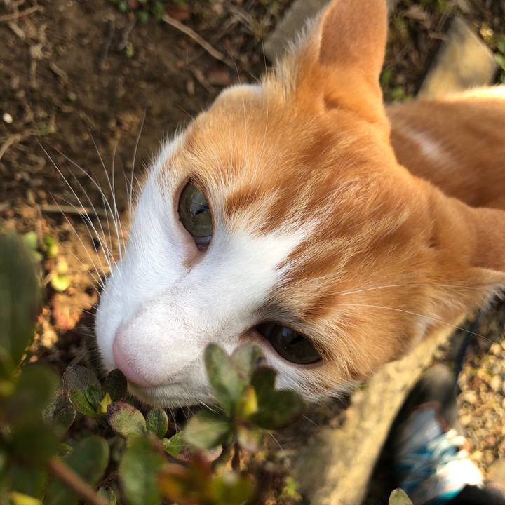 6879a763 e8bb 4dfa a1dd 3da15c7c2e8f 1555163044722