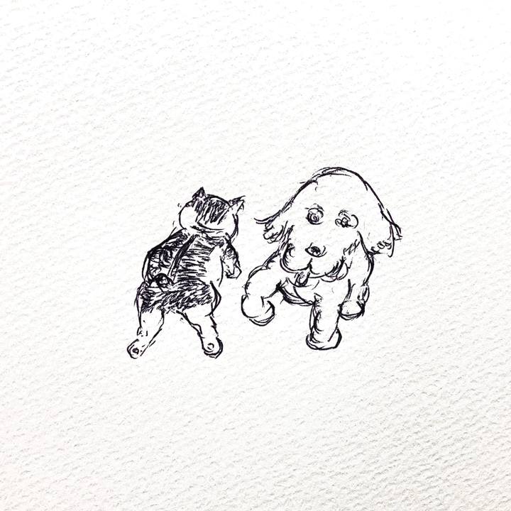 6879bab6 ac9d 4590 ab60 b352e356ce4b 1705235742295