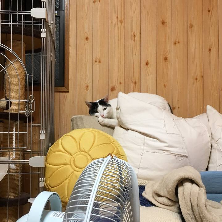 6879d702 be81 4ef3 afd4 f99ee09e70e6 1532299719721