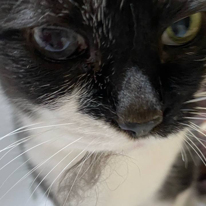 6879e07d a657 407b bd12 6b4d8b1525e8 1741780128127