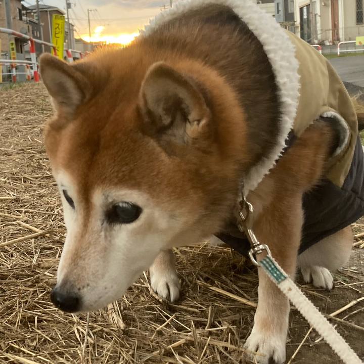 687a163f 6d0b 4800 a2ce 7e6783790b64 1735371209309