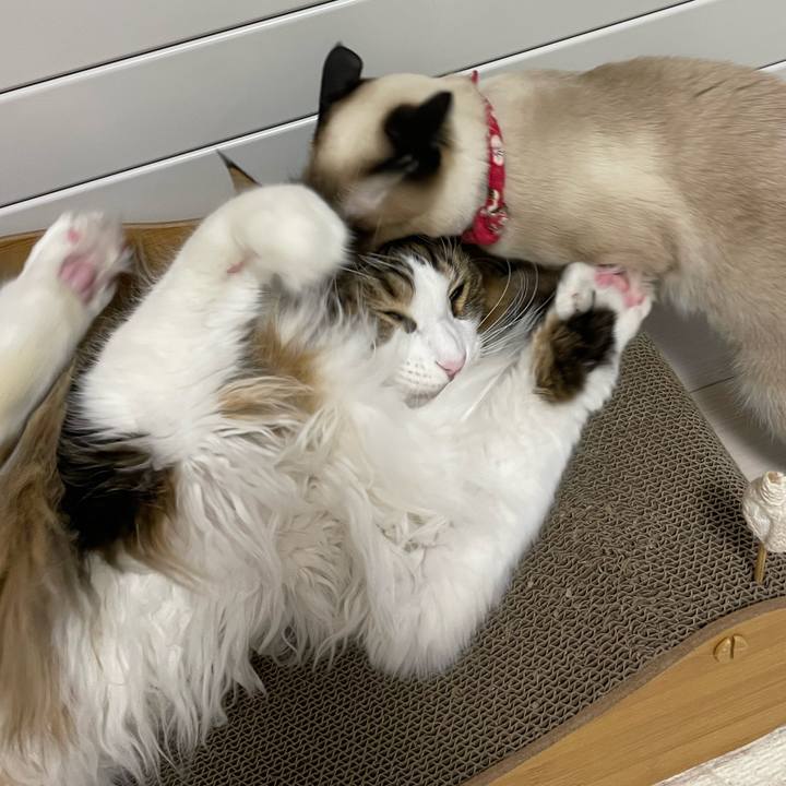 687a1909 59d3 41dc ae4c f775342a5b29 1709496097760