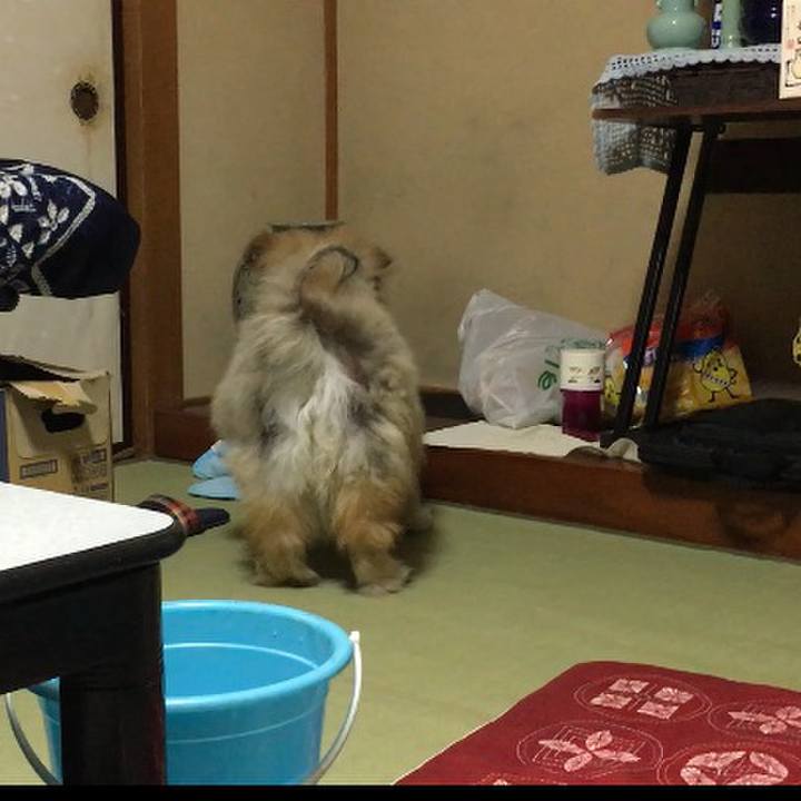 687a31dc 78e9 4f27 a34e dba452fd7b55 1553841451710