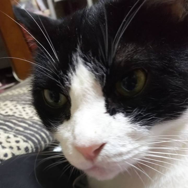 687a7820 5101 44be 9ce4 da4ab630a6c5 1569966830552