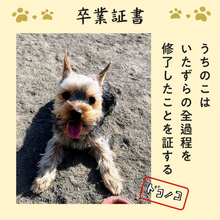 687a8691 8ad6 4ce6 8174 097228767446 1771836747377