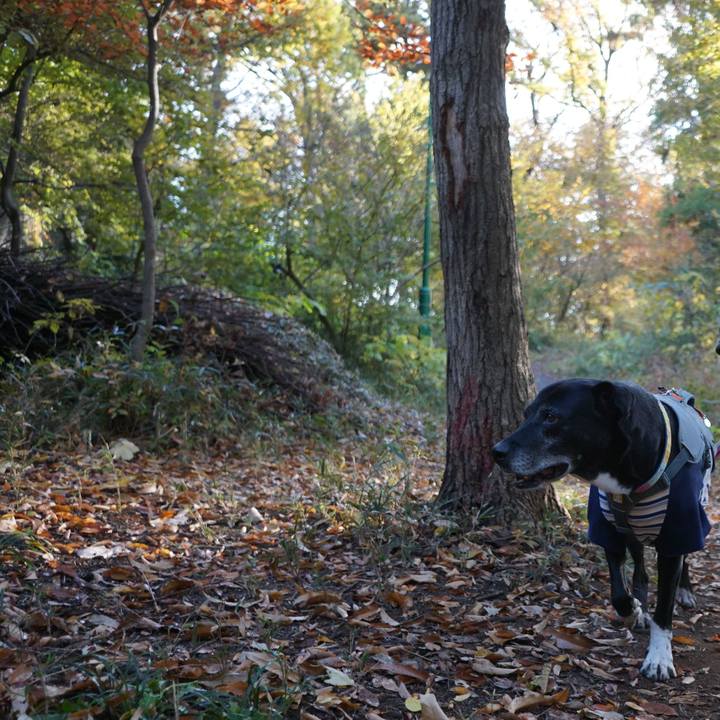 687ae814 fd4e 4b22 9148 953c61999d03 1763865295952