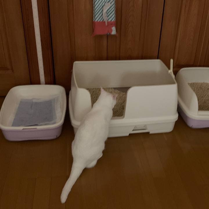 687b2a66 aa08 47e2 8a9c a469f290f41d 1657568862766