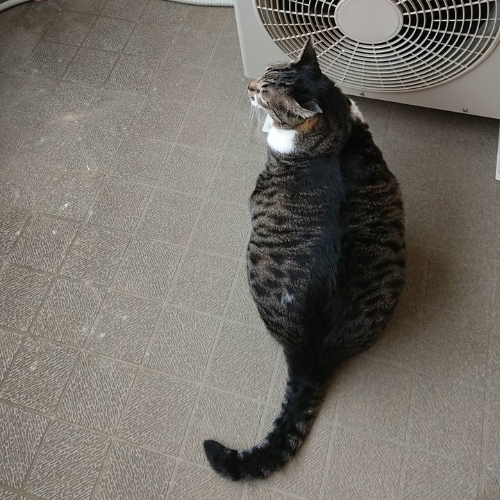 687b31e6 b9c5 452b b383 35d4f7e70835 1568595962051