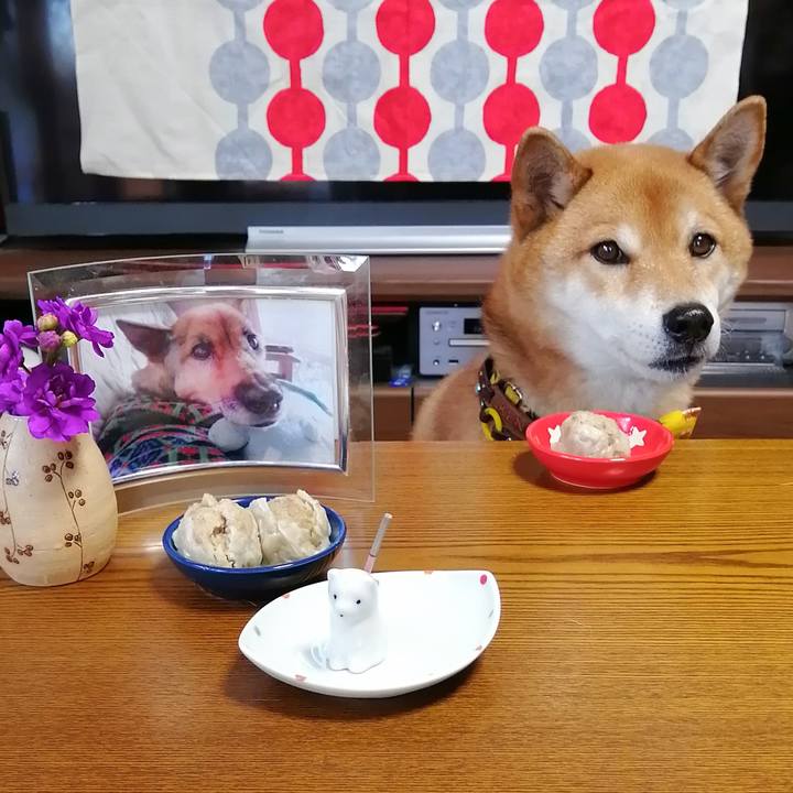 687b6529 b6d9 45c5 9b78 33bb1a072e30 1610090587271