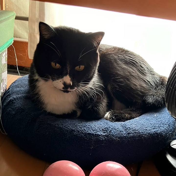 687b6872 1d93 49d4 b3ee 6ea94ccba49e 1730101529278