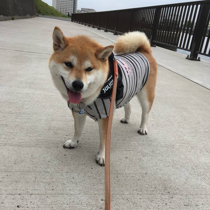 687b9ff9 6e7a 48de a919 b758cf0b7569 1527473795162