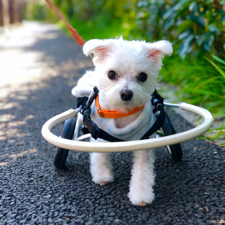 687ba599 1597 4452 8186 403338293f06 1552553404111