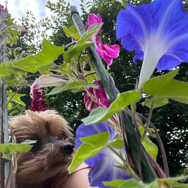 687bb77a d2ac 4eb4 98d0 086ae7f16e60 1658888408629