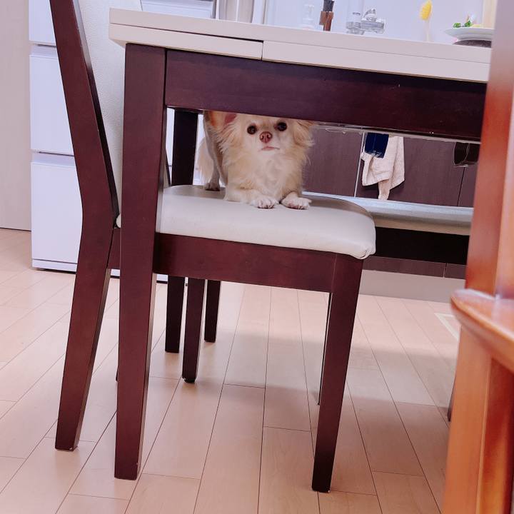 687bf232 c703 4712 976d a49a58eb9519 1679481326022