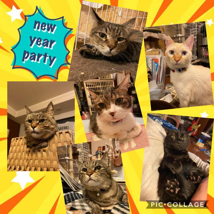 687c6723 fe0a 46d0 849b 9c4fb3d70d14 1609430391329