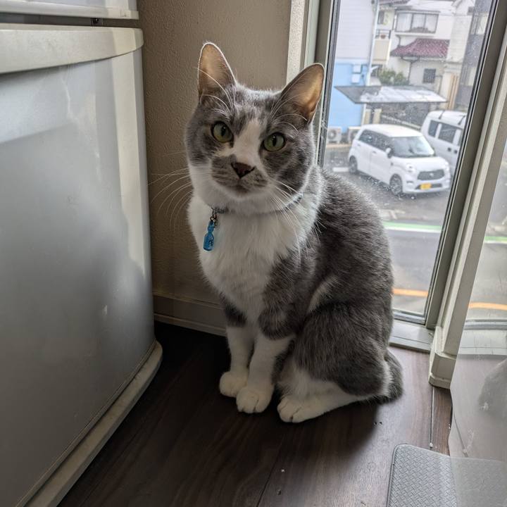 687c9fd4 97c7 4a92 8331 dd046e270095 1766276209924