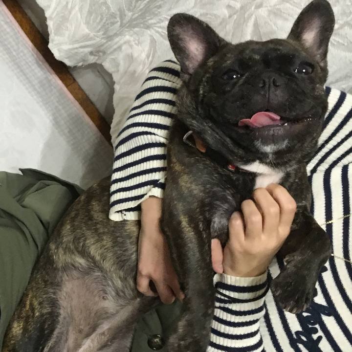 687ca3c1 0746 4e89 9f22 61458e9870c0 1509956718851