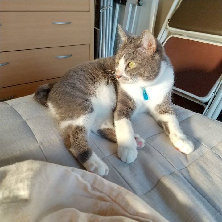 687cce3d c537 4ac9 9967 70e3d7909b63 1633390811933