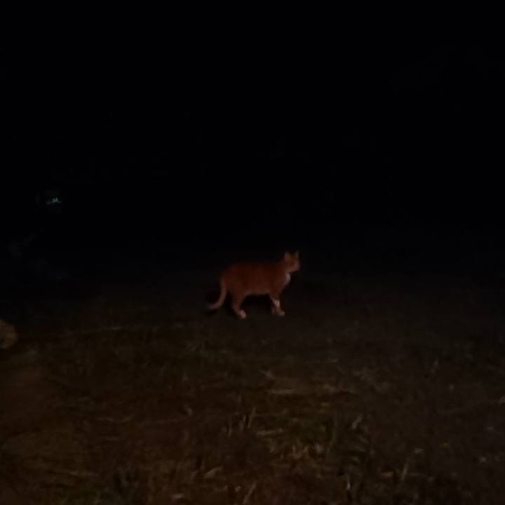 687cd3a4 7f60 4c45 9d80 32213abe1fef 1600683571825