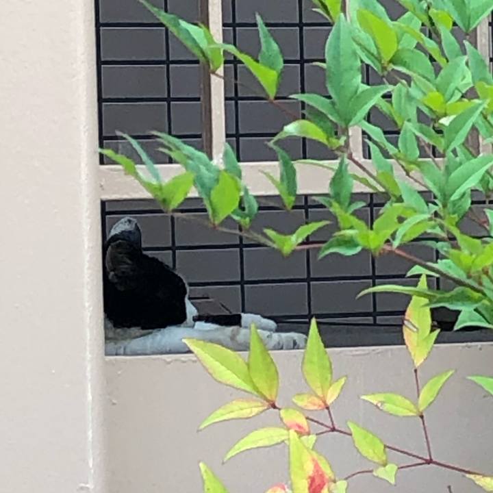 687d3c57 4474 44ce 9010 954e5a937cbb 1564047054175