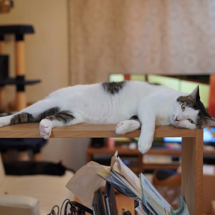 687d7ed1 2d1c 4043 afb0 615676045451 1632110584804