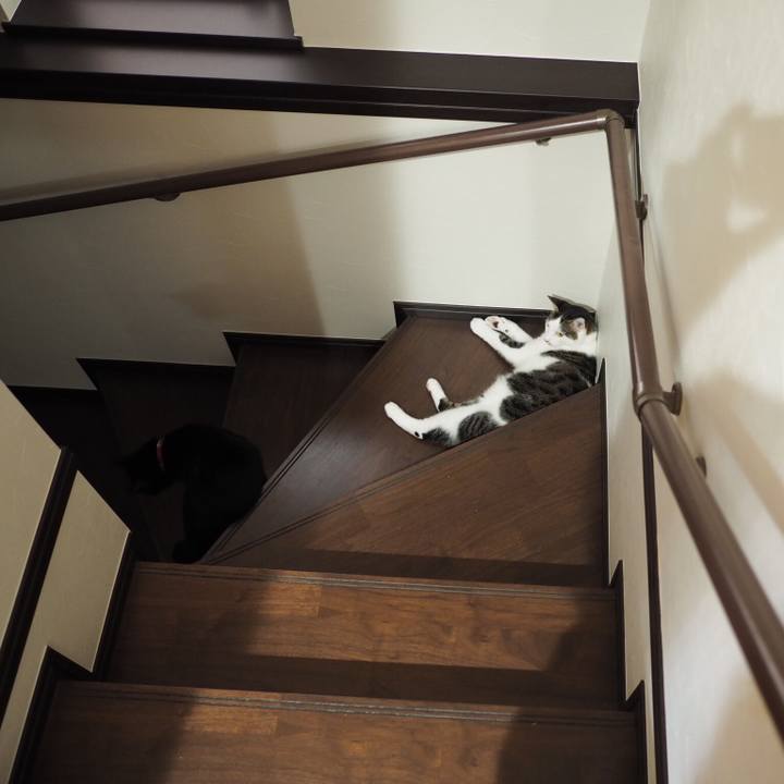 687d9323 1e6f 4f85 8659 0f5cf54116fd 1535672823125