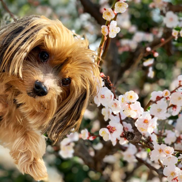 687da46b 874f 4aad 9b90 100d0638b85b 1582336514082