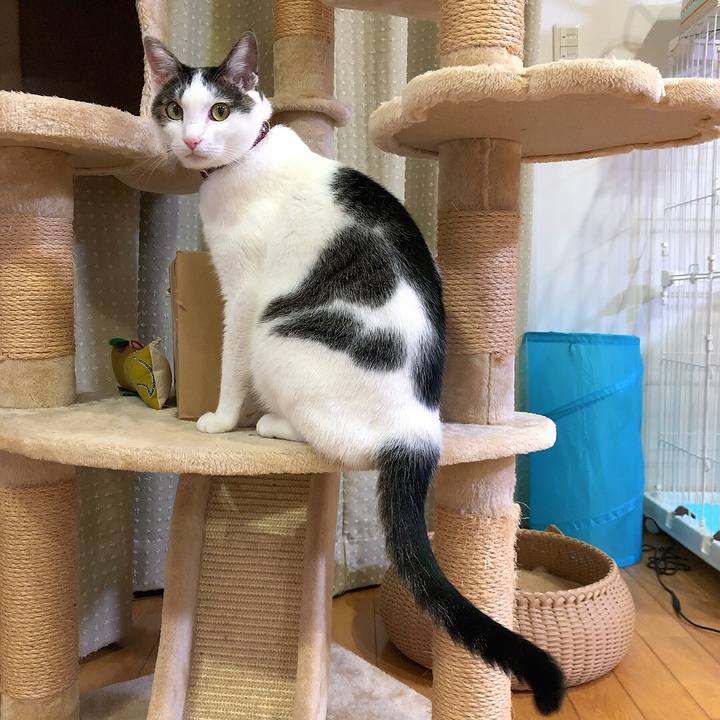 687dd3b6 0764 446e bea9 072237dc8c25 1666441872765