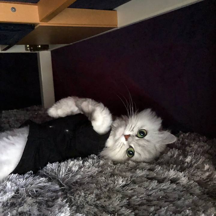 687df156 b940 4010 b128 60c95e15875a 1525396049763