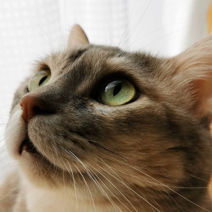 687e2f6d dfd5 478e 8597 b23084d2b614 1634803248273