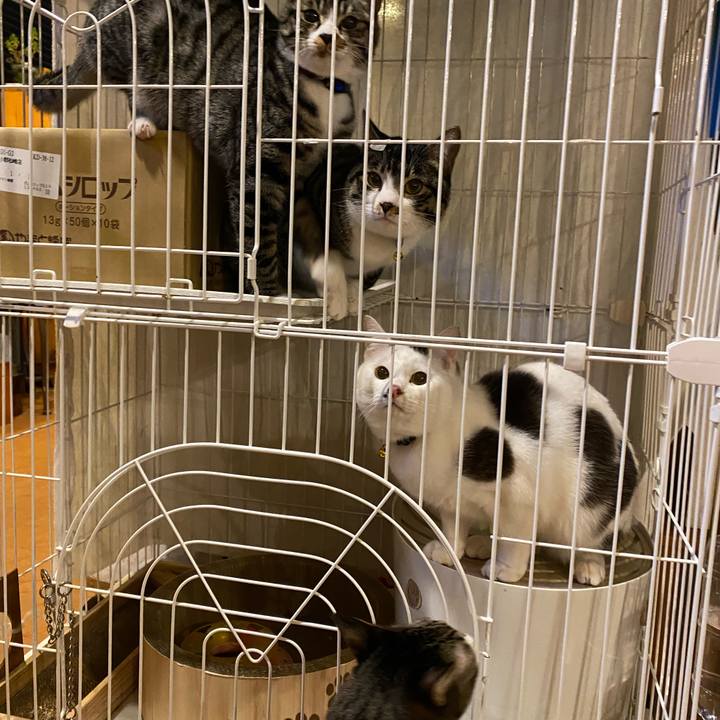 687e304a 57bb 4684 afca 698865742189 1705915736914