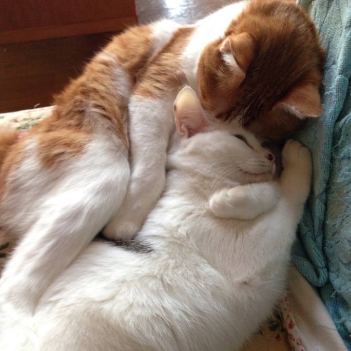 687e469f 9651 4798 8329 a0c2badd2657 1508105366255