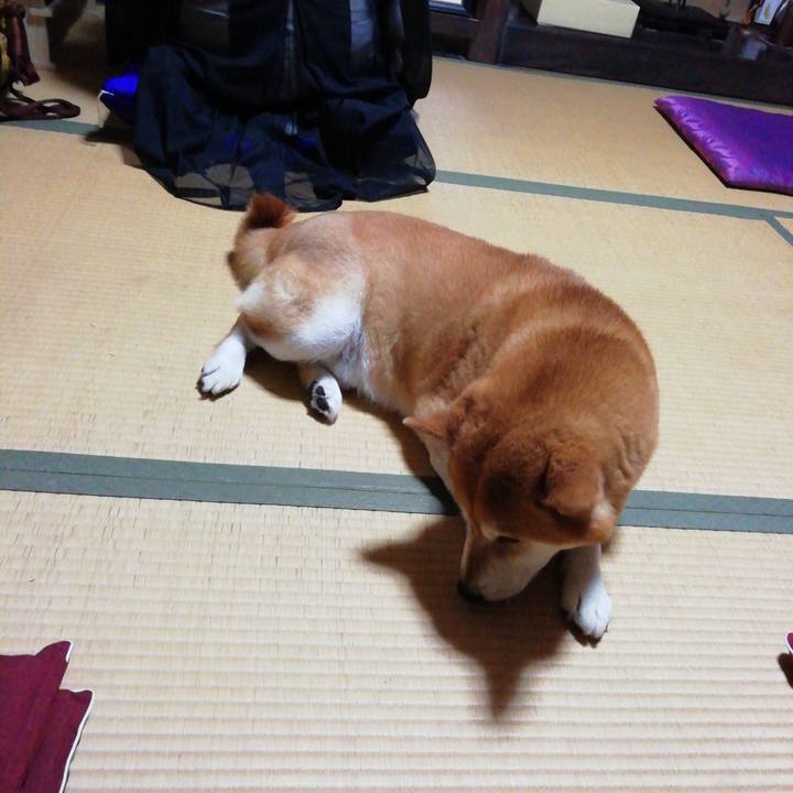 687ebe8d 8b63 486e be75 a0377e7f0fb1 1597446514560