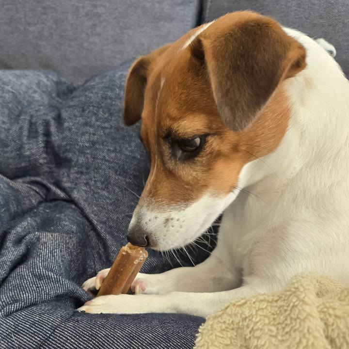 687f0586 62d8 4d66 8e8e 7a418336f9f1 1764818460374