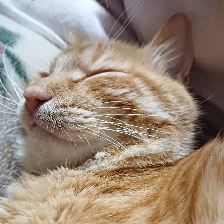 687f1a2a 654c 4399 8482 24d3c487b4b0 1640608964107