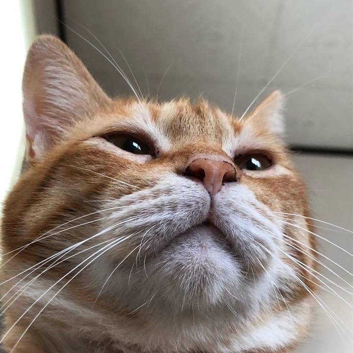 687f22eb 6f8a 4304 9059 f9fec4c65423 1562446185877