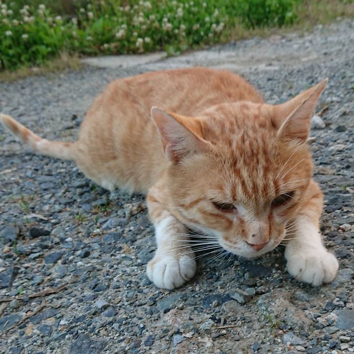 687f2ea8 315e 4e7b bd08 453713df8b06 1561455794576