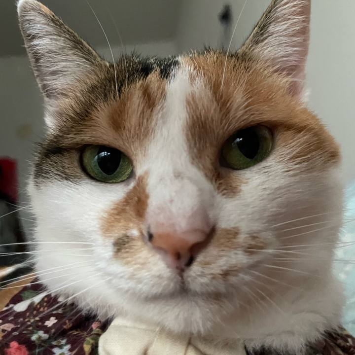 687f5f46 bc98 46df a0af ad45cd1b1e81 1758353875104