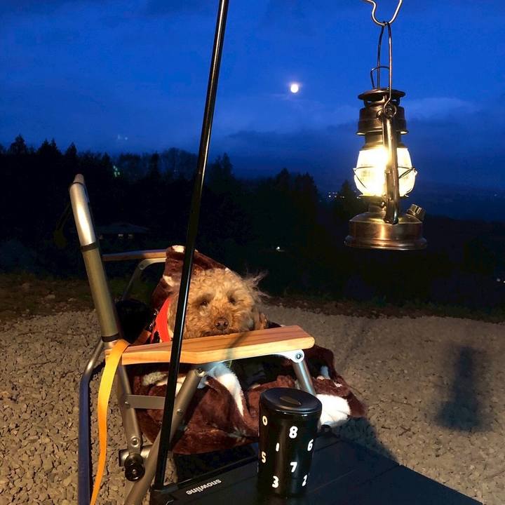 687f8fda e8e4 4e04 b0d3 5f3696ea1bf4 1753327109227