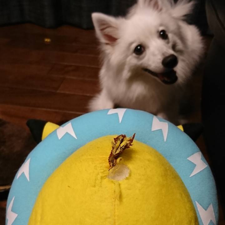 687ff717 c8e2 4c06 bd71 66b31d17a5b9 1532704751235