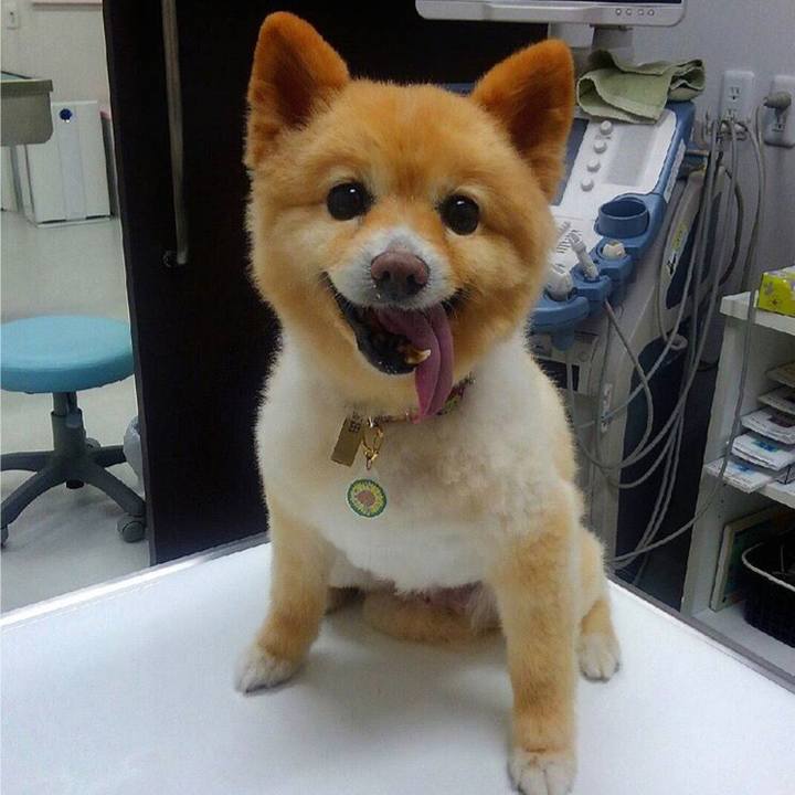 68800131 553b 43f9 a370 374d9706ad49 1527861991988