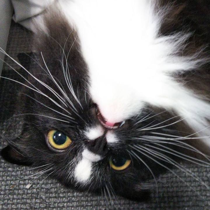 68802c30 eecd 4bbc 8288 3badb1087db2 1653518664269