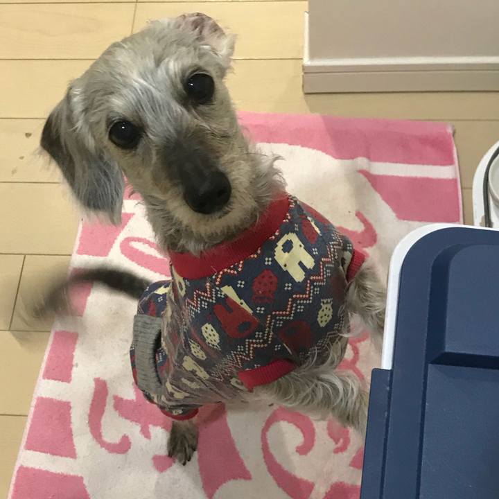 68806344 3d6f 4baa 925d 2ff7cb4aec02 1510875364162